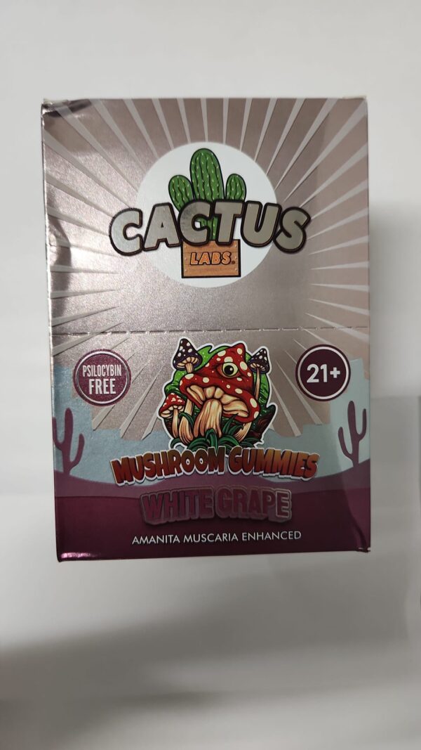 CACTUS LABS MUSHROOM GUMMIES