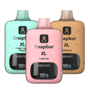 SNAP BAR 10000 PUFF 10CT/BX