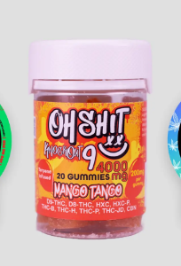 OH MUSHIES GUMMLES 10PC/500MG