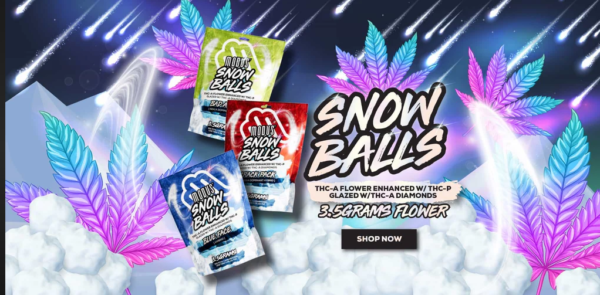 MODUS SNOW BALLS THC A FLOWER 3.5G 5/BOX