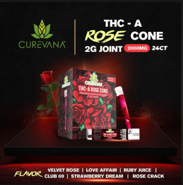 CUREVANA THC-A ROSE CONE 24CT/PACK