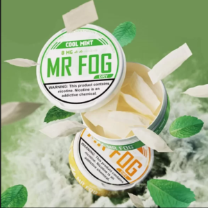 MR FOG DRY 8MG NICOTINE 5POUCHES/SLIVE